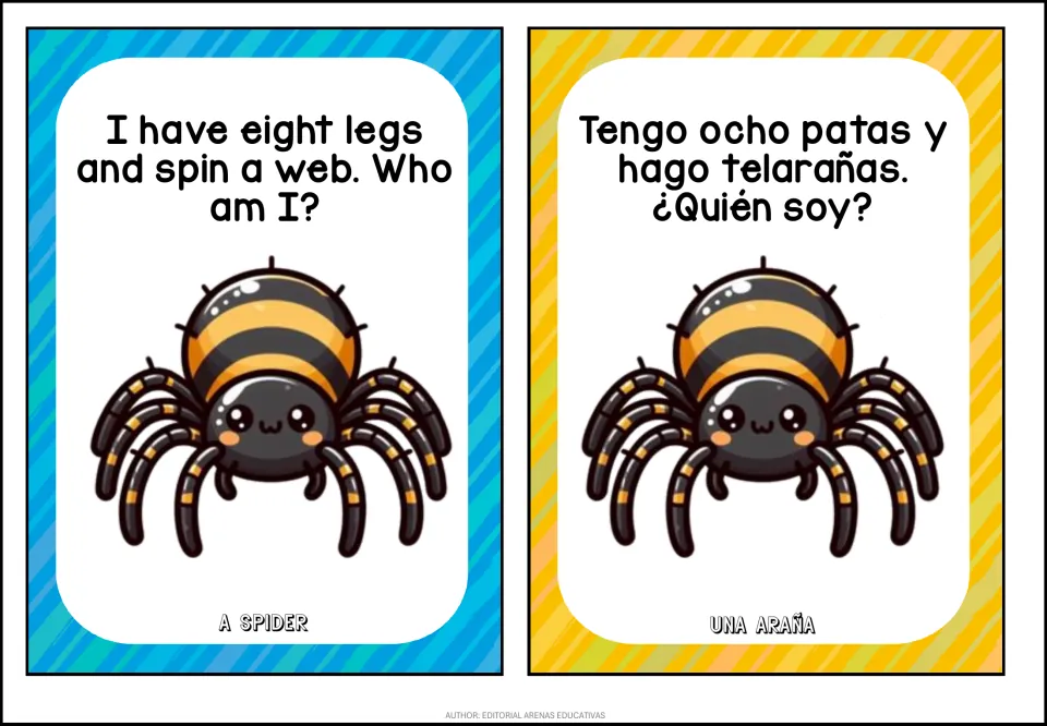 Spider riddle cards: I have eight legs and spin a web / Tengo ocho patas y hago telarañas; answer A spider / Una araña