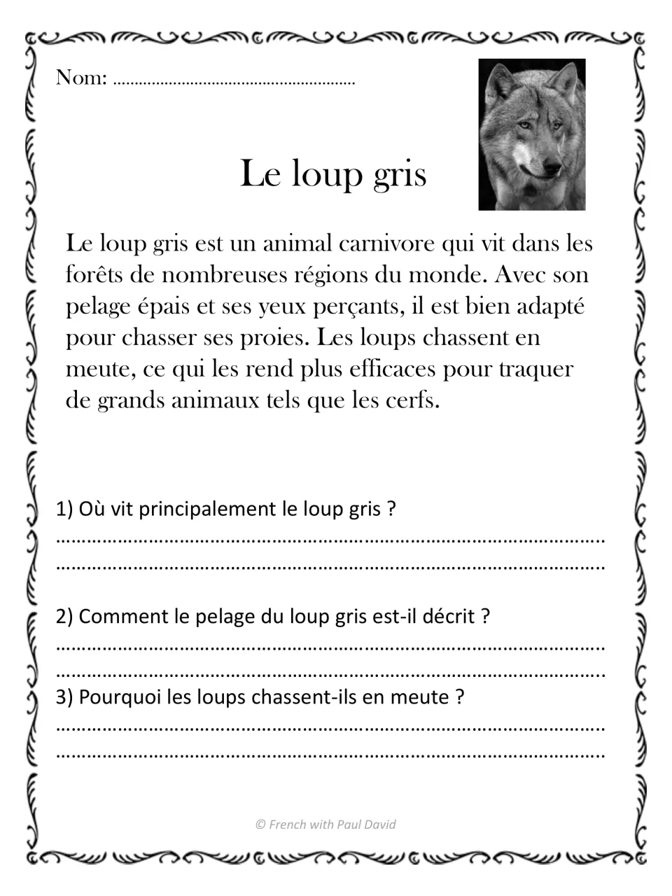 French reading passage Le loup gris (gray wolf), with three questions about habitat, fur, and pack hunting