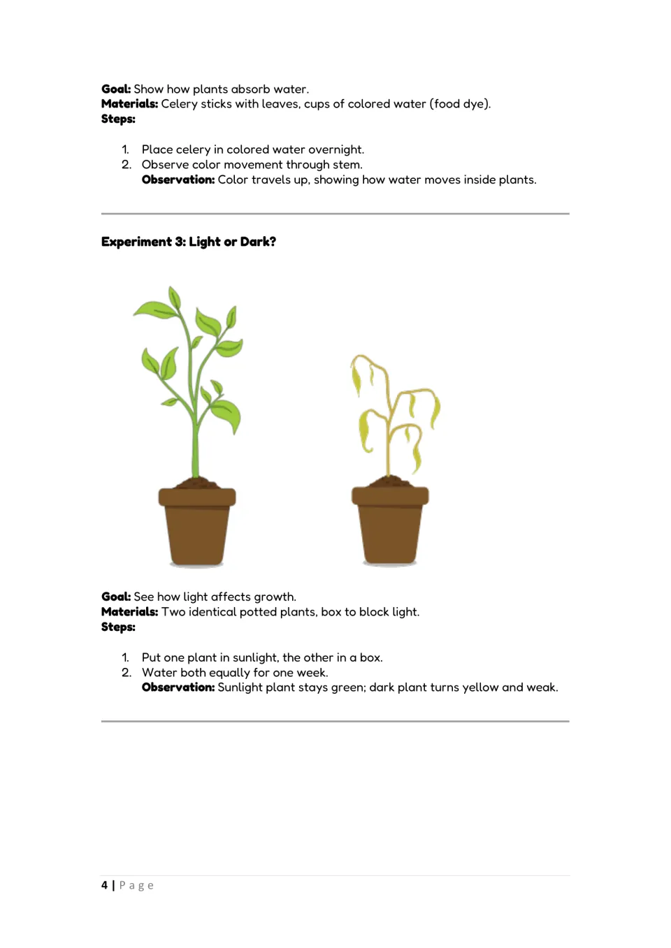 Water absorption and light: finishing the celery dye steps, then Light or Dark? comparing a sunlit plant with one in a box