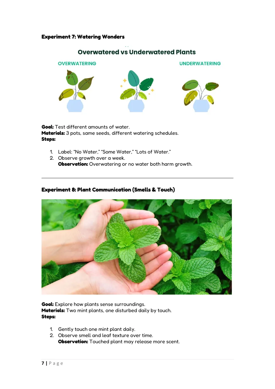 Watering and plant senses: Watering Wonders tests three water amounts; Plant Communication touches one mint plant daily