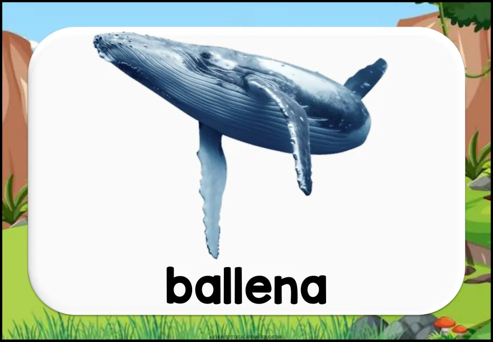 Spanish aquatic animal vocabulary flashcard showing a whale and the lowercase label 'ballena' (whale)