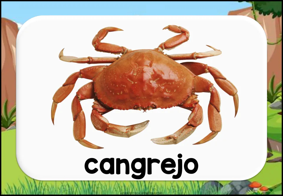 Spanish aquatic animal vocabulary flashcard showing a crab and the lowercase label 'cangrejo' (crab)