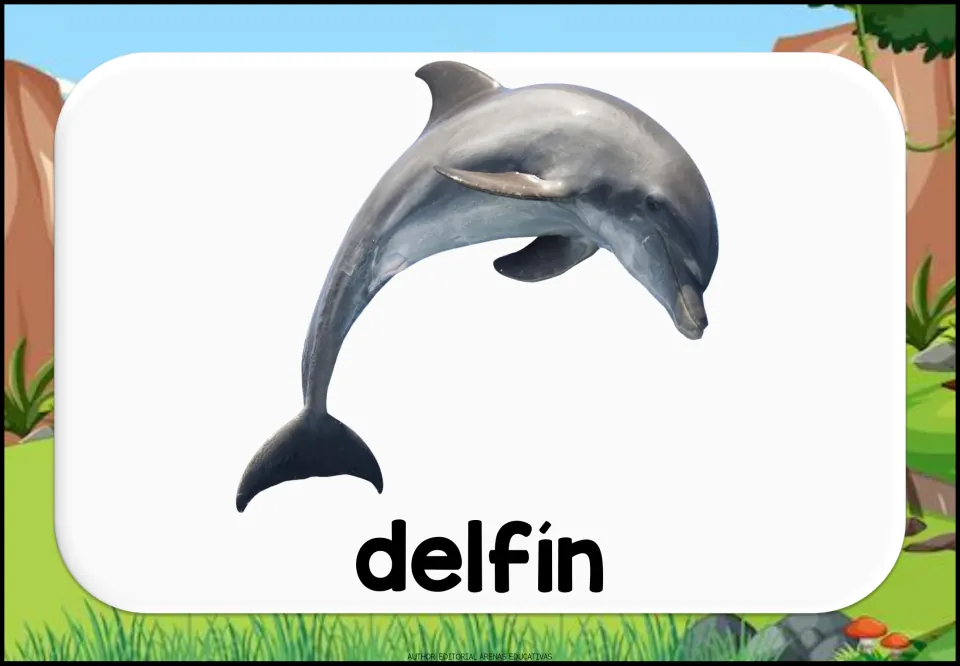 Spanish aquatic animal vocabulary flashcard showing a dolphin and the lowercase label 'delfín' (dolphin)