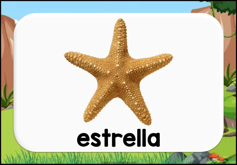 Spanish aquatic animal vocabulary flashcard showing a starfish and the lowercase label 'estrella' (star)