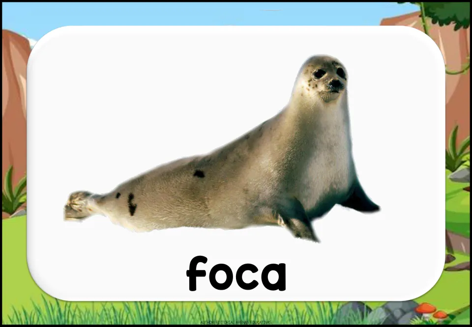 Spanish aquatic animal vocabulary flashcard showing a seal and the lowercase label 'foca' (seal)
