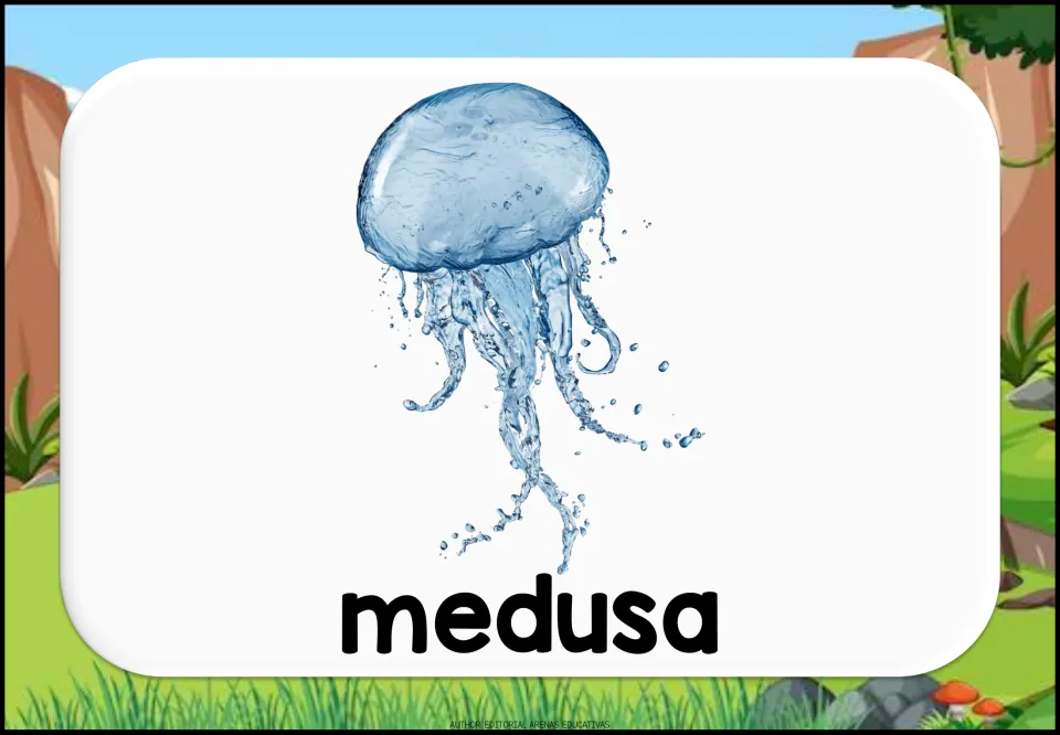Spanish aquatic animal vocabulary flashcard showing a jellyfish and the lowercase label 'medusa' (jellyfish)