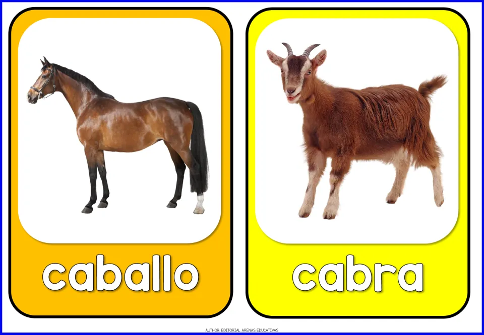 Spanish farm animal flashcards 1–2 of 10: caballo (horse) and cabra (goat), each paired with an animal photo
