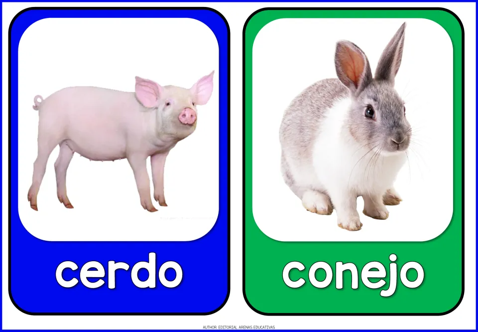 Spanish farm animal flashcards 3–4 of 10: cerdo (pig) and conejo (rabbit), each paired with an animal photo