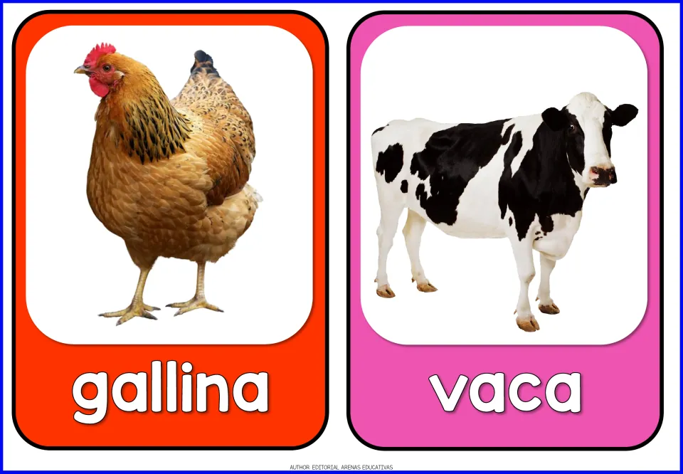 Spanish farm animal flashcards 5–6 of 10: gallina (hen) and vaca (cow), each paired with an animal photo