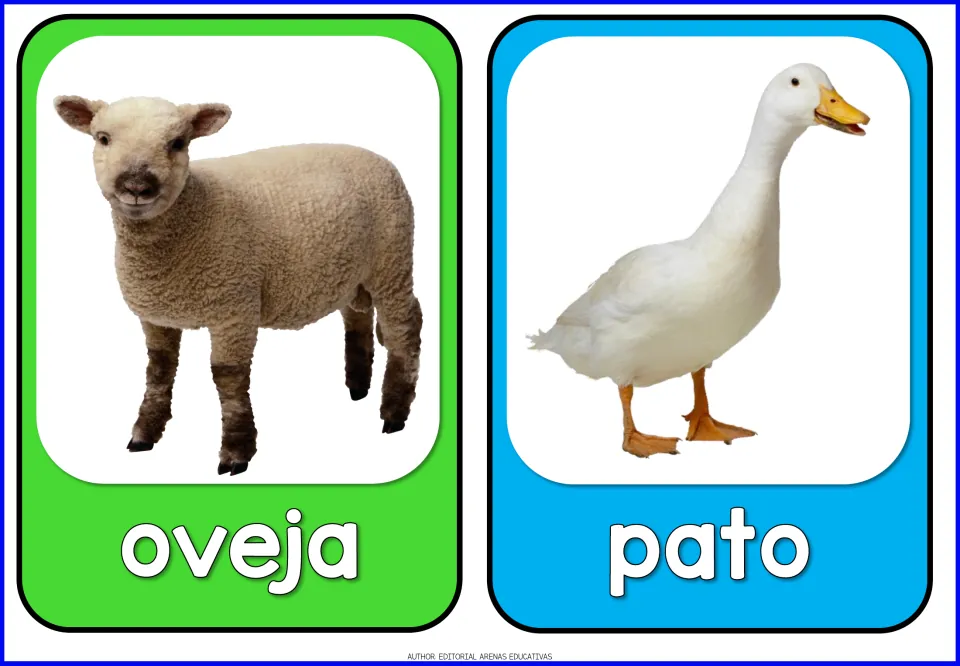 Spanish farm animal flashcards 7–8 of 10: oveja (sheep) and pato (duck), each paired with an animal photo