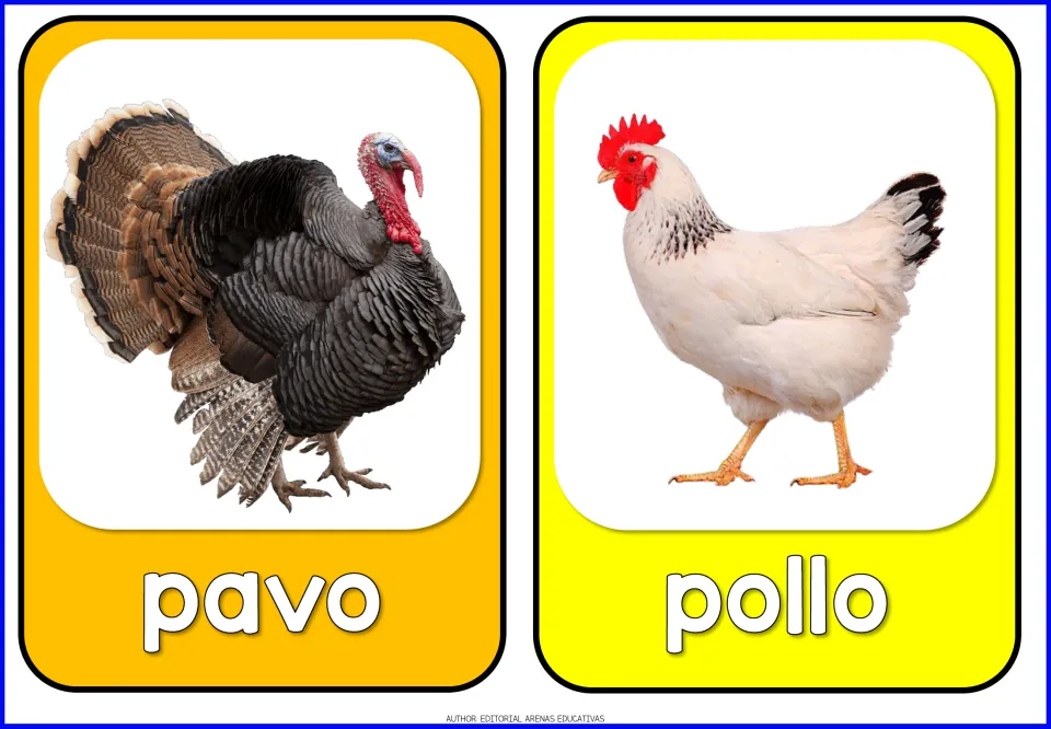 Spanish farm animal flashcards 9–10 of 10: pavo (turkey) and pollo (chicken), each paired with an animal photo