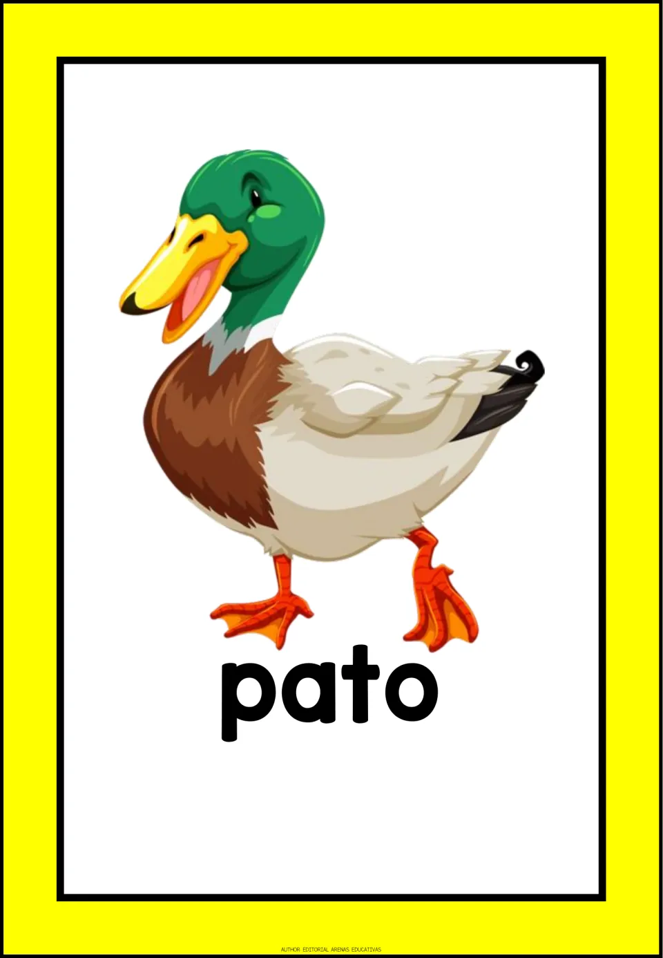 Spanish domestic-animal vocabulary flashcard labeled 'pato' (duck), showing a duck with a green head