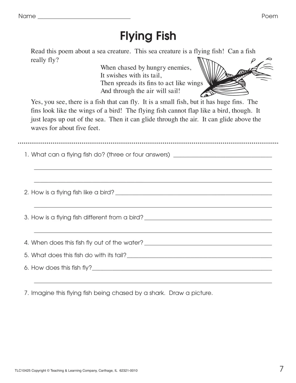 Flying Fish poem and facts: students compare the fish with a bird, explain how it glides, and draw it chased by a shark