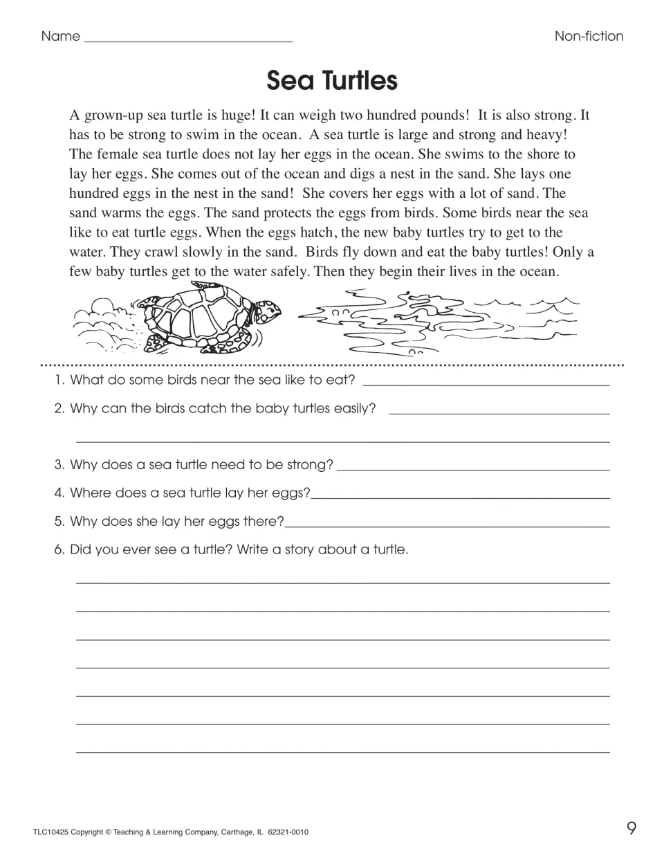 Sea Turtles non-fiction passage: students tell where and why the turtle lays eggs in sand, then write a turtle story