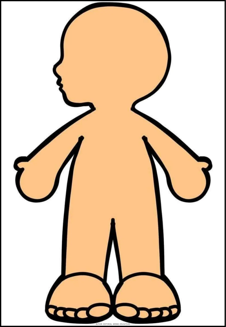 Blank human body outline in a light skin tone, a base figure for pasting on the organ pieces of each body system