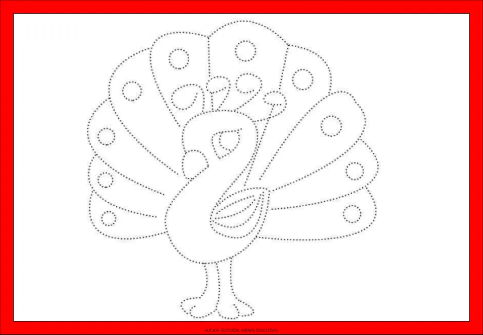 Dotted peacock outline: children trace its fanned tail feathers with round eyespots, wing and legs, then color the bird