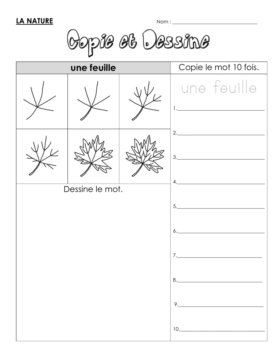 French vocabulary practice for une feuille (leaf): six drawing steps and a model to trace and copy 10 times