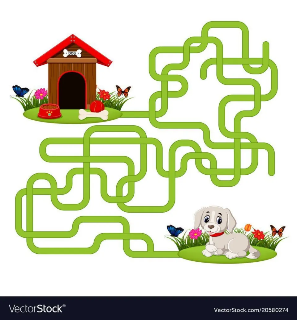 Dog maze: students trace the one winding green path that leads the white puppy back to its red-roofed doghouse