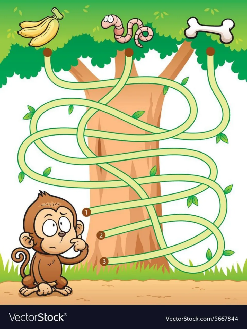 Monkey maze: students follow vine paths 1, 2 and 3 up the tree to see which one reaches the bananas, the worm or the bone