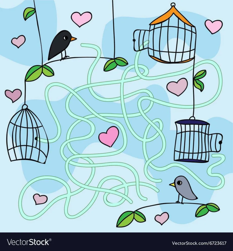 Birdcage maze: students follow the tangled pale-green paths to see which of three hanging cages each bird reaches