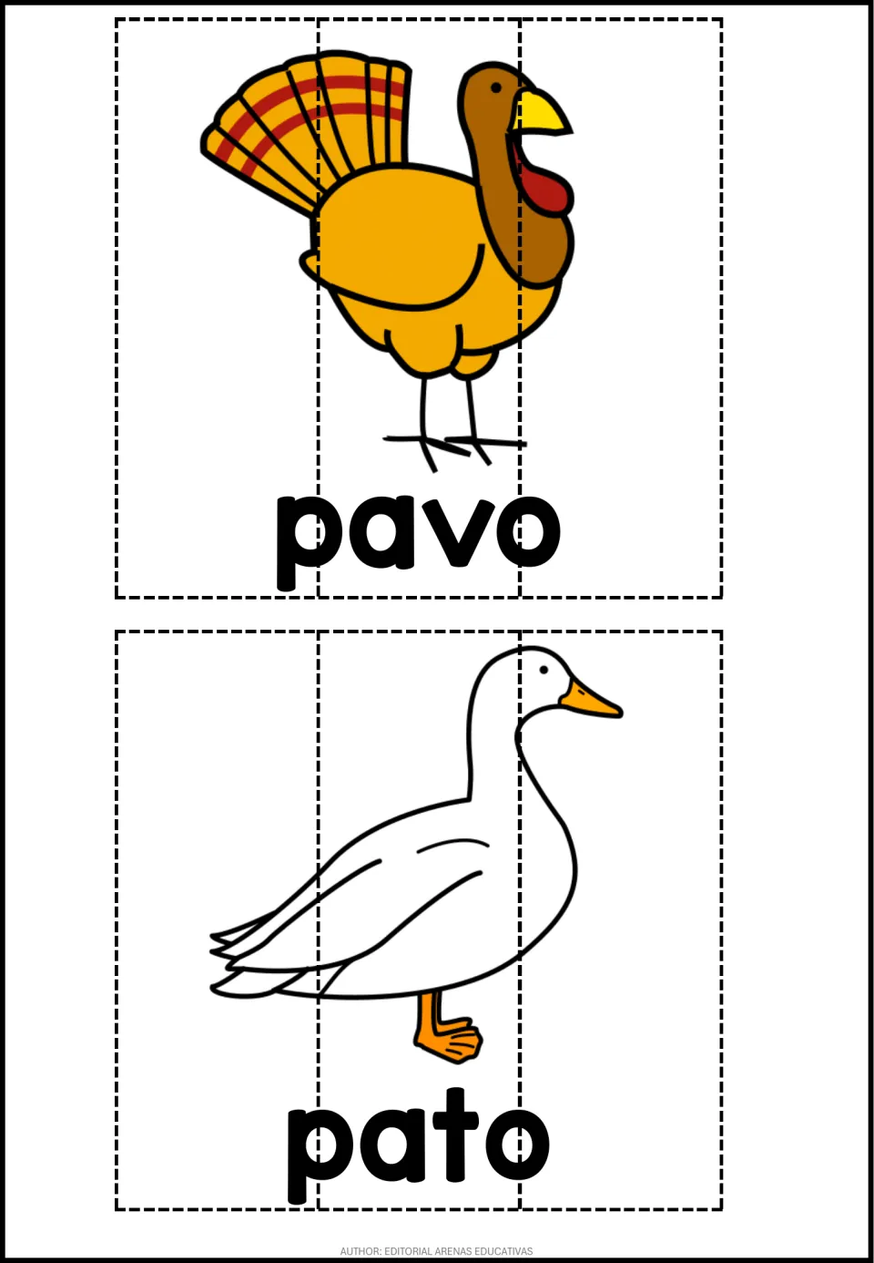 Spanish bird word puzzles: a turkey labeled pavo and a duck labeled pato, cut into 3 strips to match back together