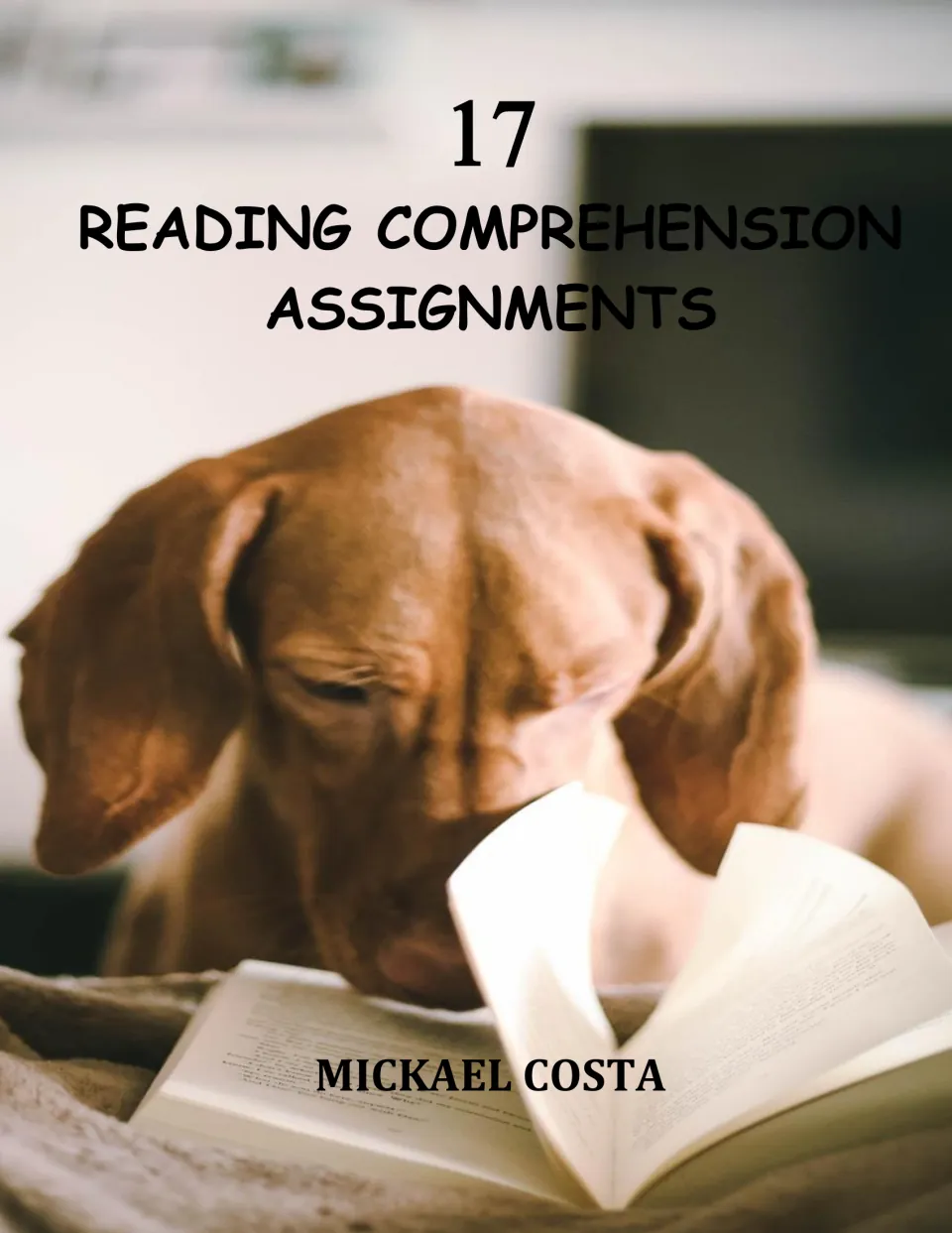 Cover of 17 Reading Comprehension Assignments by Mickael Costa, a collection of passages and questions