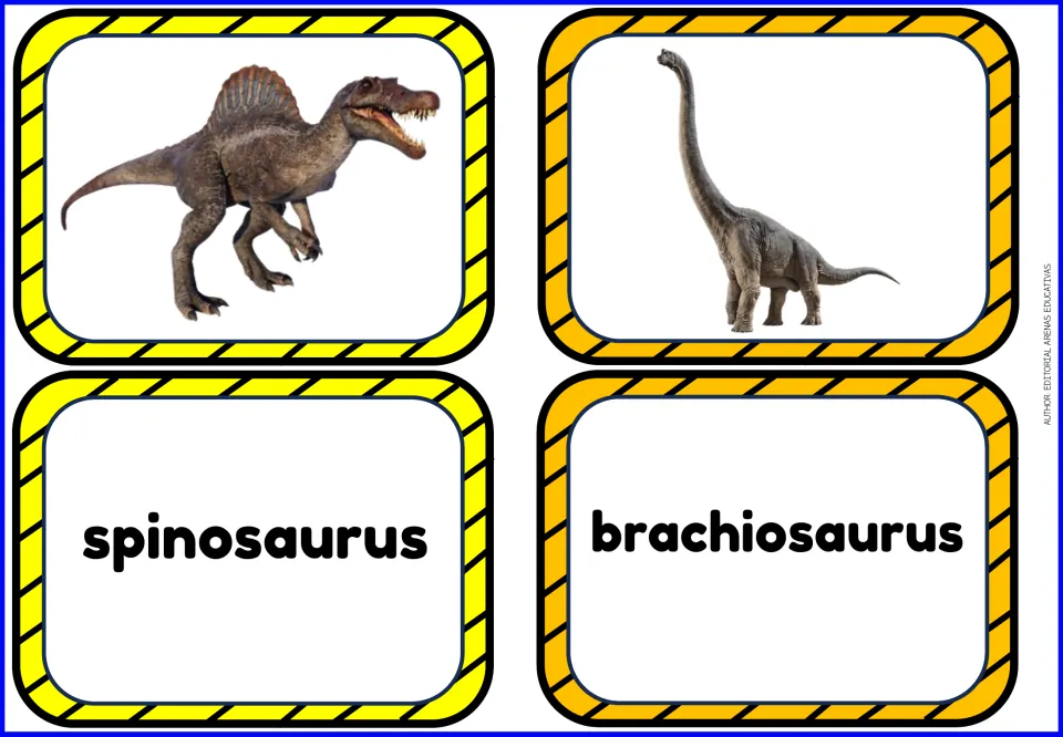 Dinosaur vocabulary flashcards: separate picture and name cards for spinosaurus and brachiosaurus.