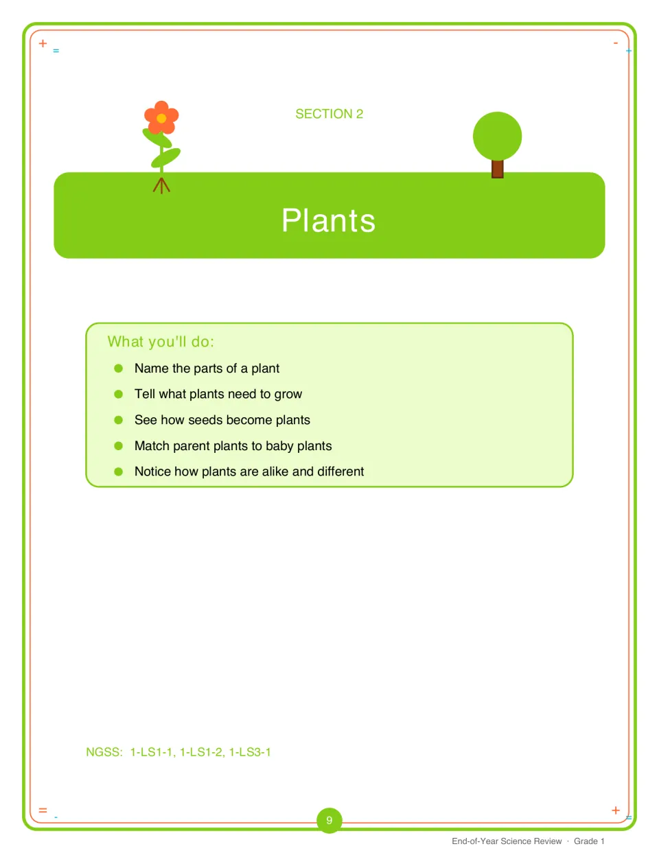Section 2 Plants opener: goals on plant parts, needs for growth, seeds to plants, parent and baby plants, and likenesses