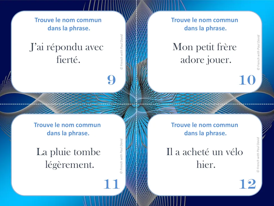 French common noun task cards 9–12 feature fierté (pride), frère (brother), pluie (rain), and vélo (bicycle).