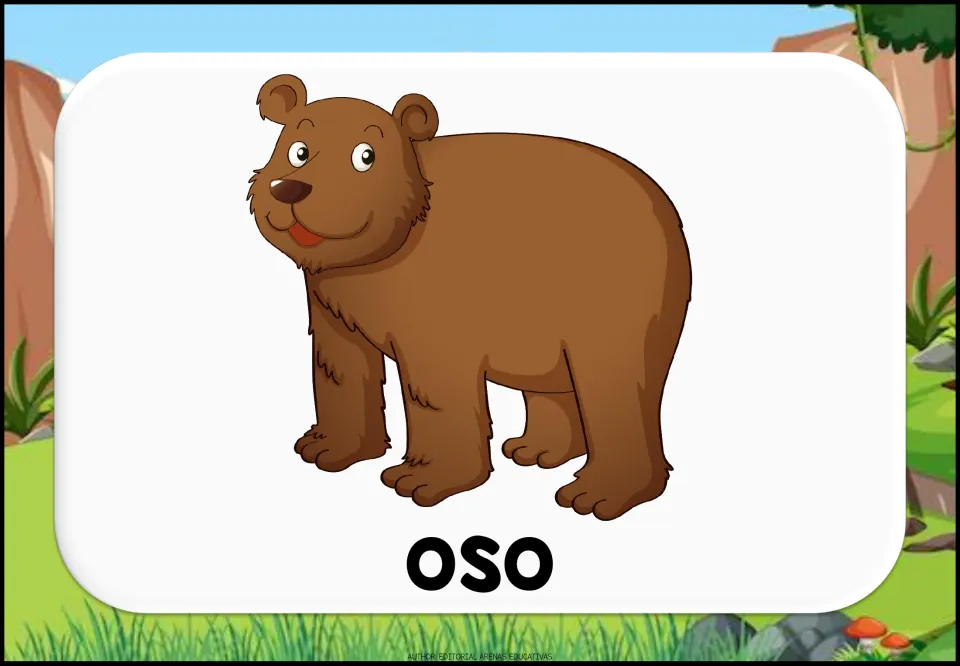 Spanish animal word oso shown beneath a standing brown cartoon bear for practising animal names and pronunciation