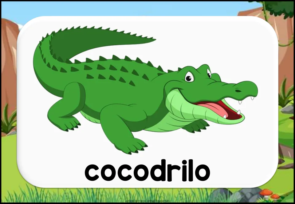 Cocodrilo picture card: a green cartoon crocodile with an open, toothy mouth above the Spanish word for students to name