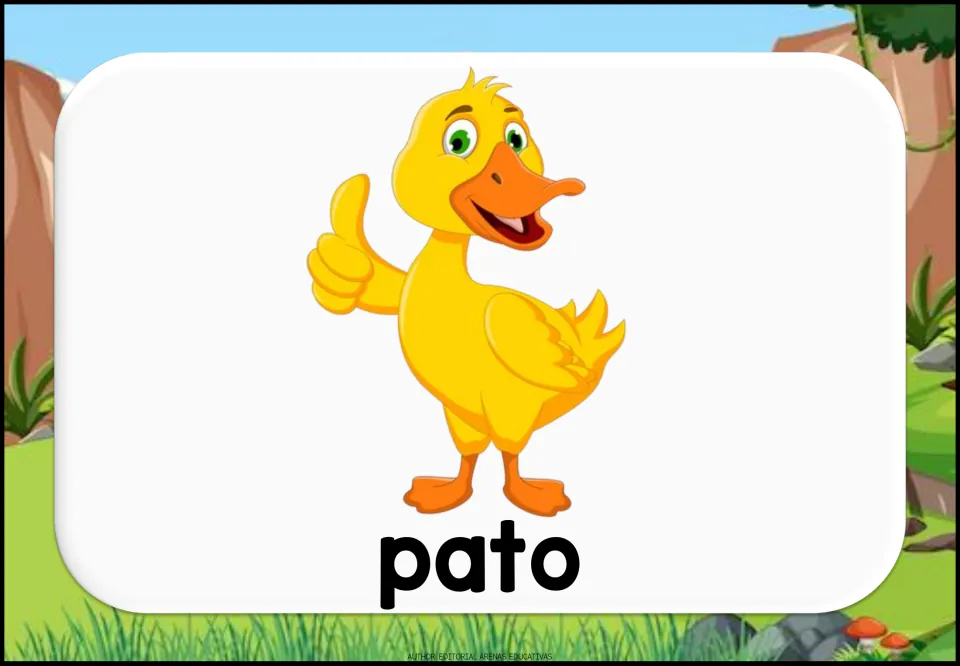 Spanish animal name pato printed under a yellow cartoon duck giving a thumbs-up, for picture-word vocabulary recall