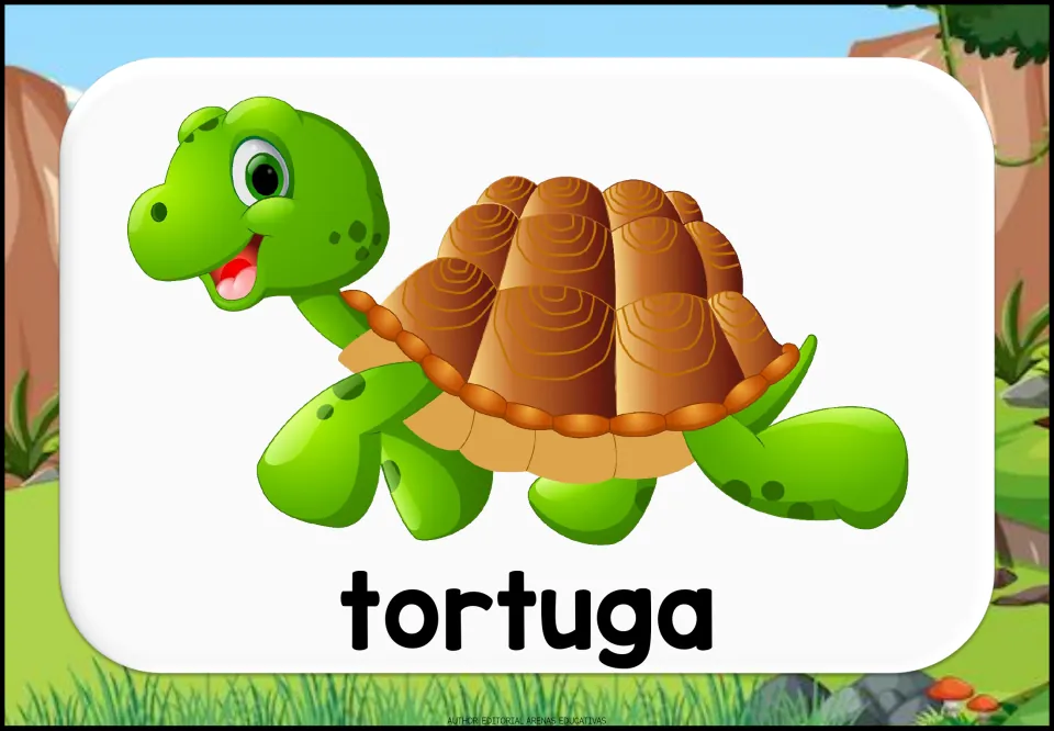 Tortuga vocabulary card: a smiling green cartoon turtle with a brown shell above the Spanish word for students to say