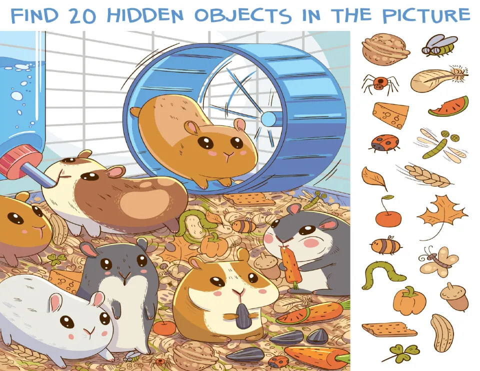Hamsters in a cage with a wheel: students find 20 hidden objects such as a walnut, ladybug, acorn and cheese