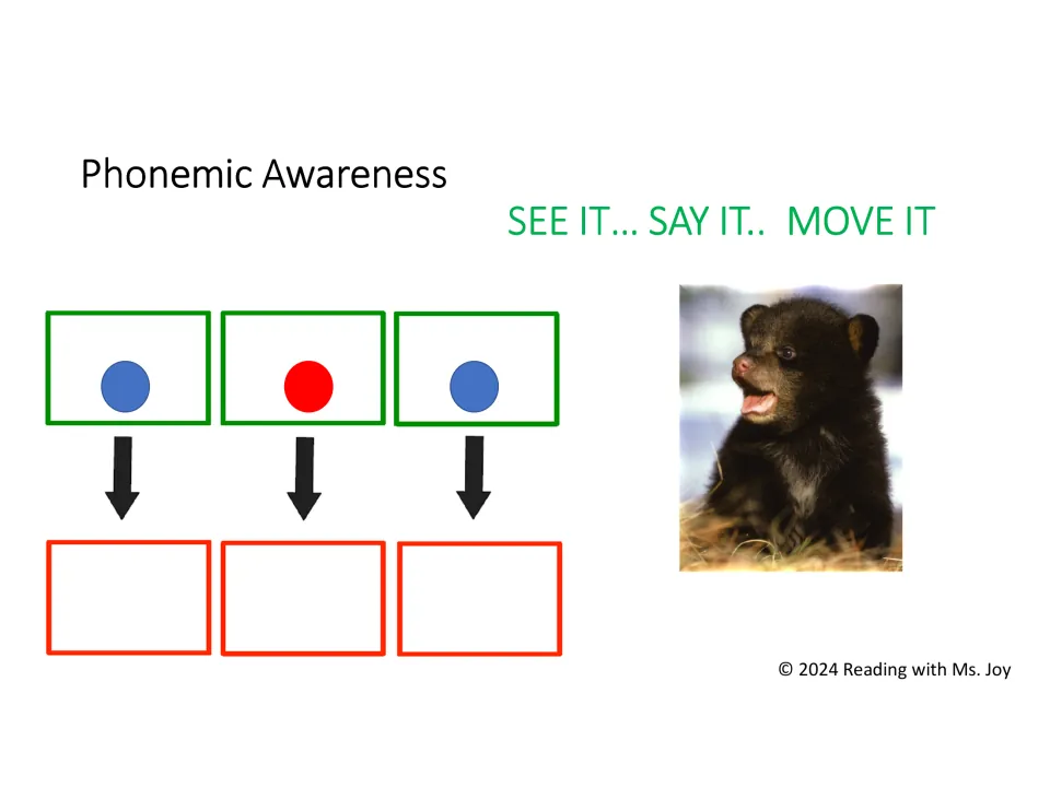 Short-u CVC task card for cub, using a bear cub photo and three sound markers to segment and blend