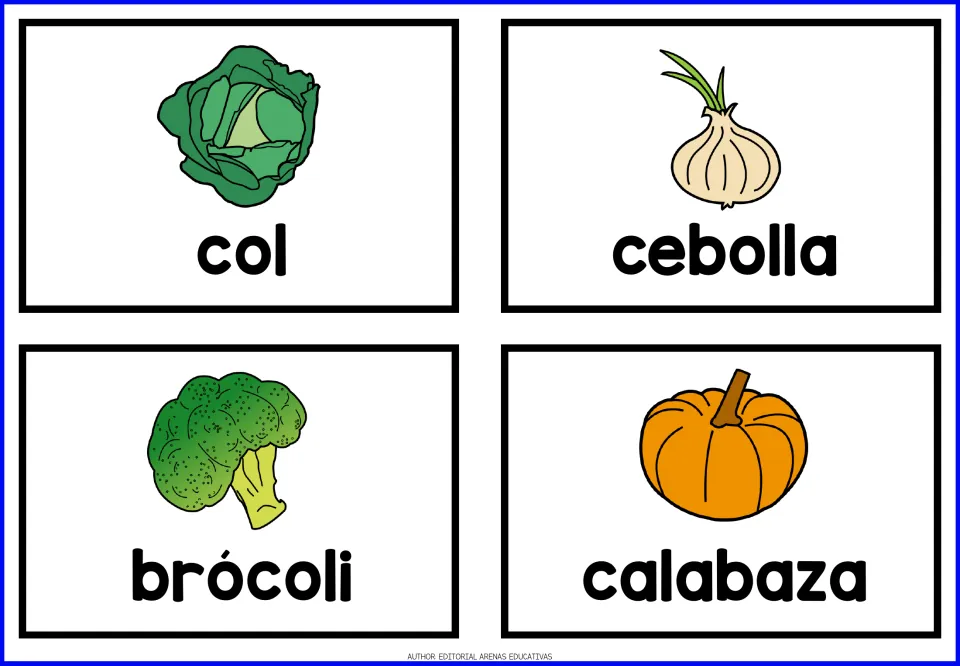 Spanish vegetable cards 5–8: col (cabbage), cebolla (onion), brócoli (broccoli) and calabaza (pumpkin)