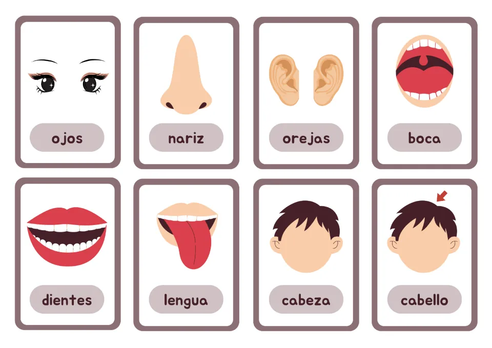 Spanish body-part cards 1–8: ojos (eyes), nariz (nose), orejas (ears), boca (mouth) and four more, with pictures