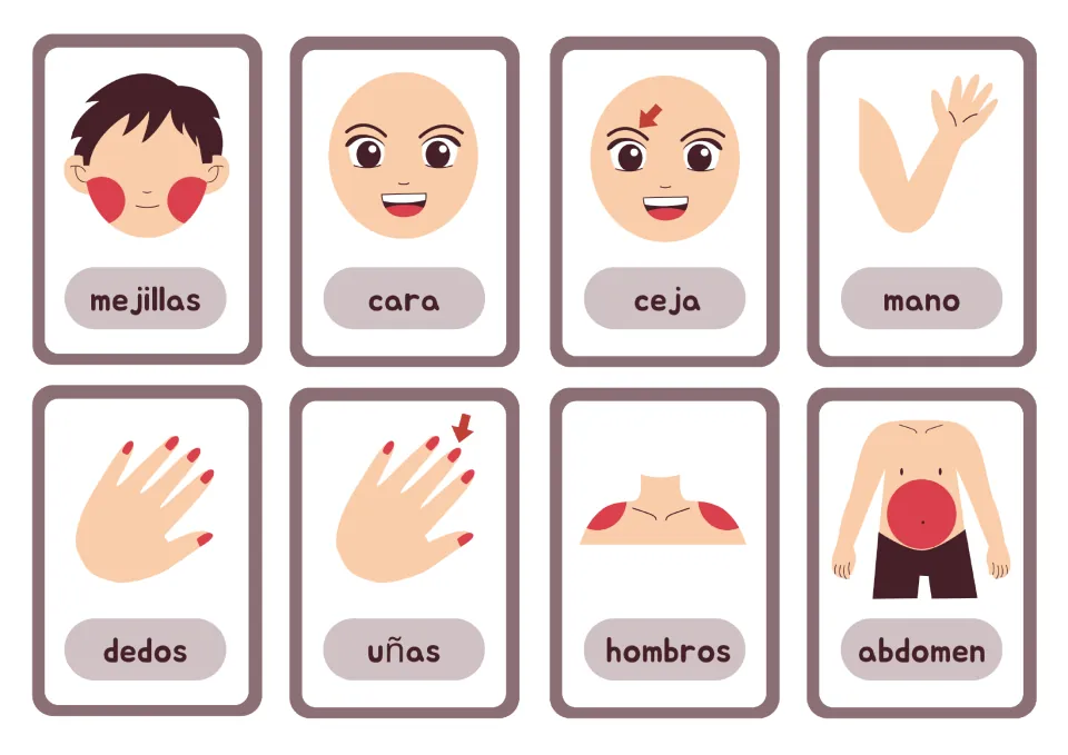 Spanish body-part cards 9–16: mejillas (cheeks), cara (face), ceja (eyebrow), mano (hand) and four more