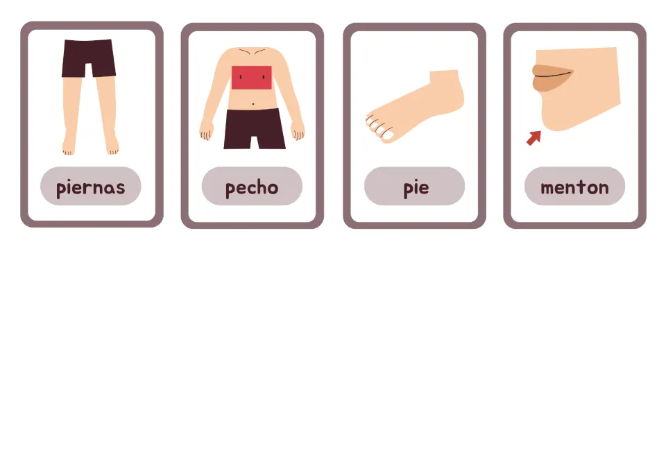 Spanish body-part cards 17–20 show piernas (legs), pecho (chest), pie (foot) and menton (chin) with pictures