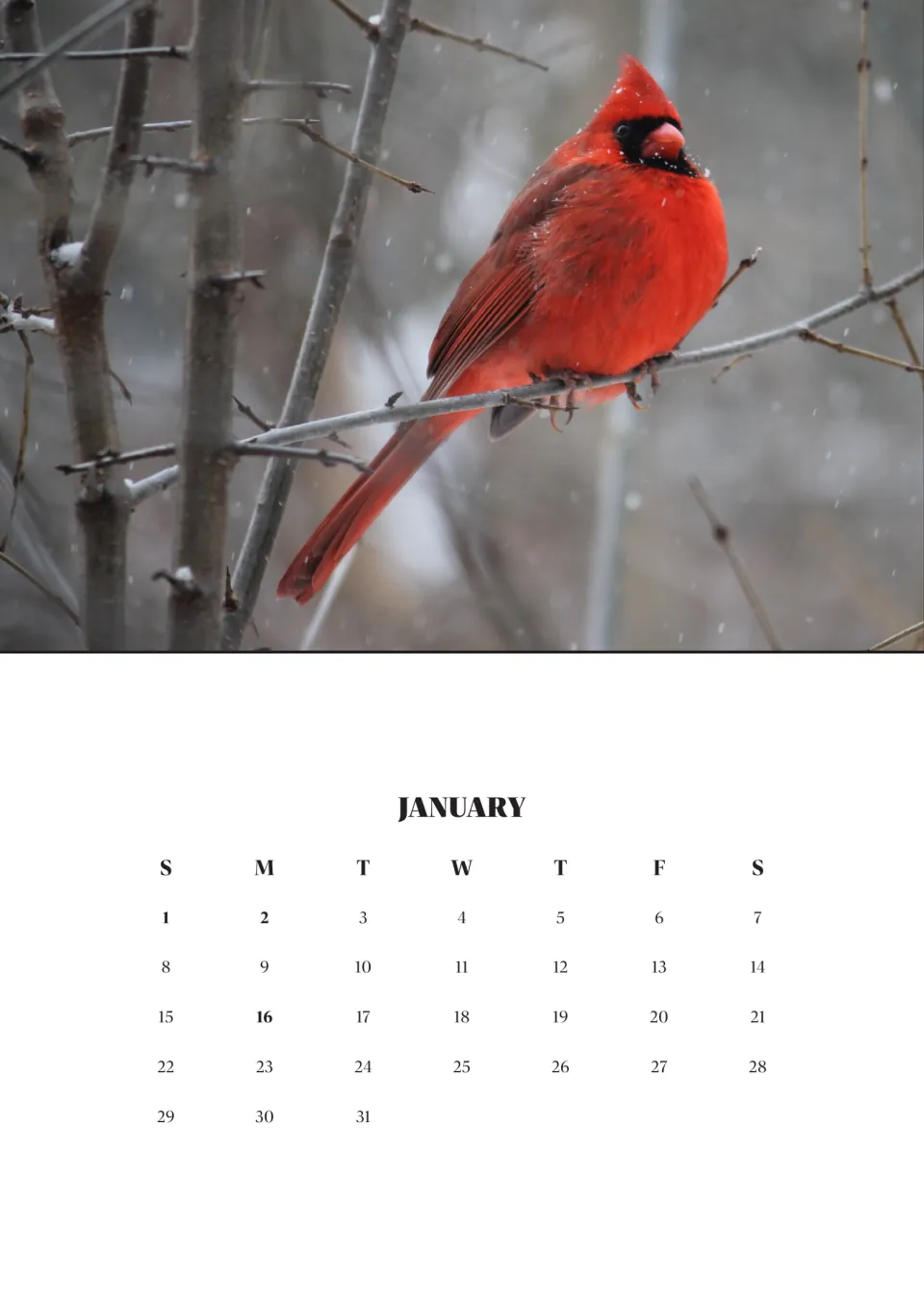 January 2023 month page under a photo of a red cardinal on a snowy branch; dates 1, 2 and 16 are set in bold