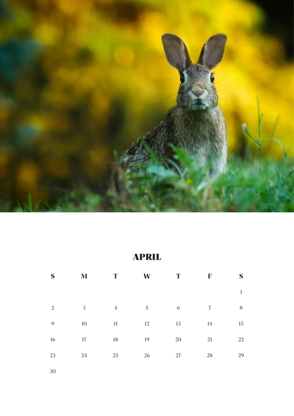 April 2023 month page starting on Saturday the 1st and ending Sunday the 30th, topped by a photo of a rabbit in grass