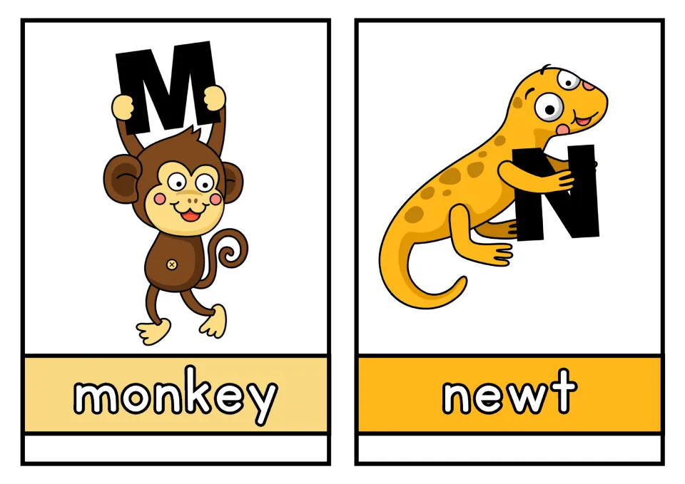 Animal alphabet cards M and N: monkey and newt pictures paired with uppercase letters and lowercase names