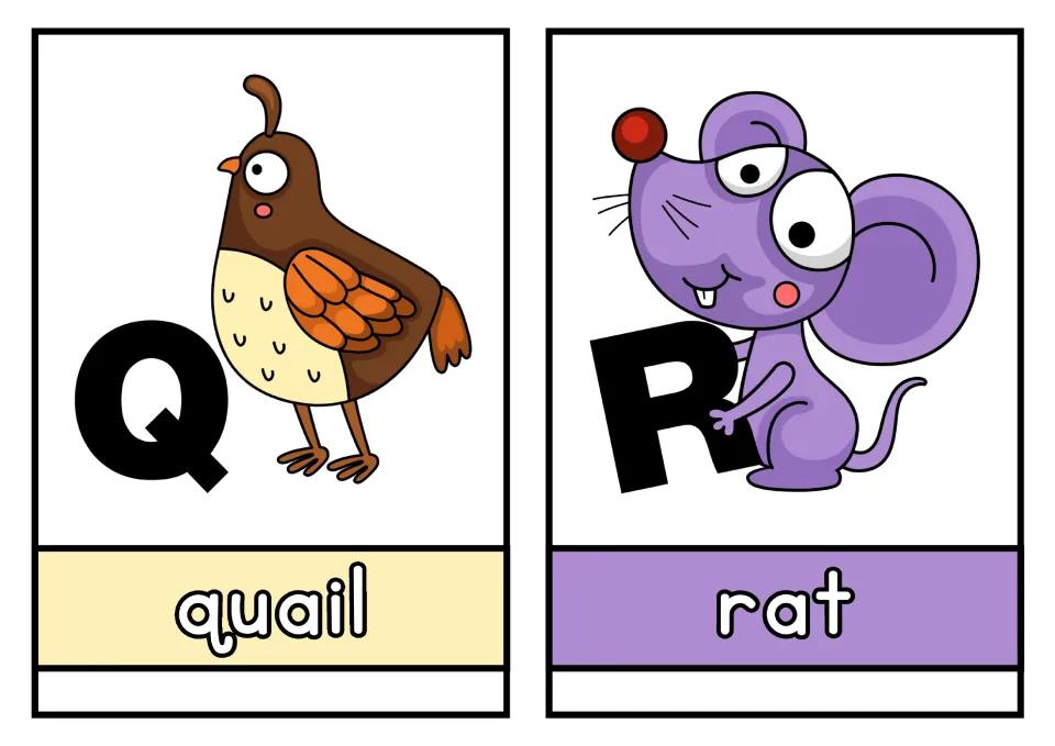 Animal alphabet cards Q and R: quail and rat pictures paired with uppercase letters and lowercase names