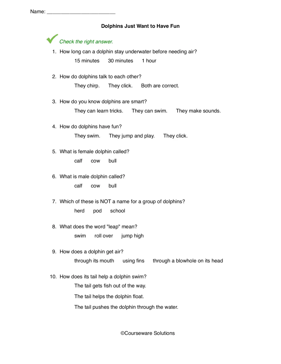 Dolphin questions: students check answers to 10 items on facts from the text, dolphin names and what leap means