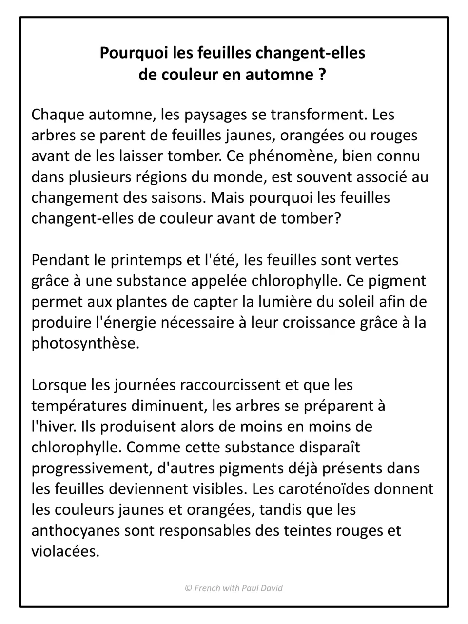 French text on why leaves change colour in autumn: students read about chlorophyll, carotenoids and anthocyanins