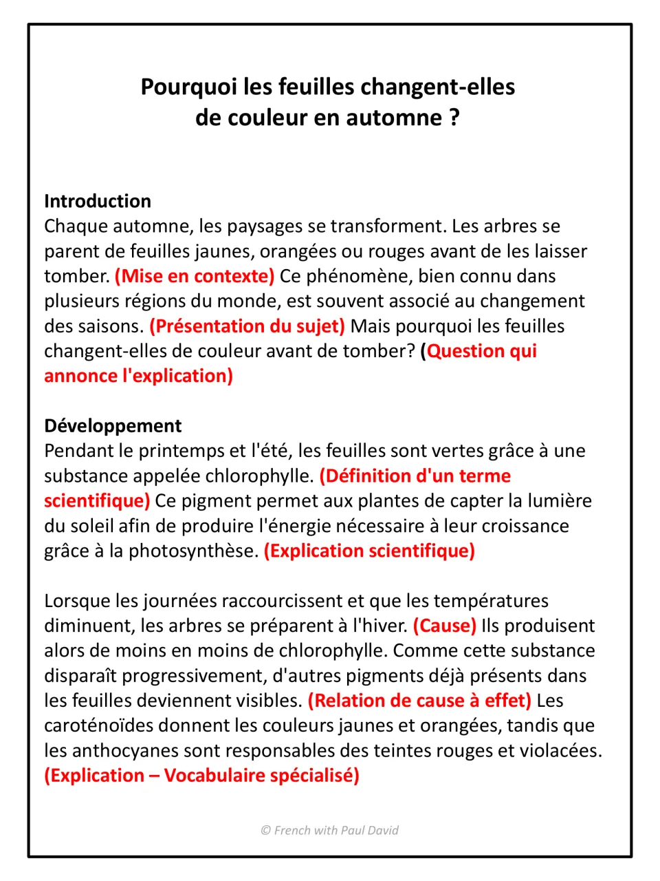 Autumn leaves text annotated in red: context, opening question, definition of a scientific term and cause and effect