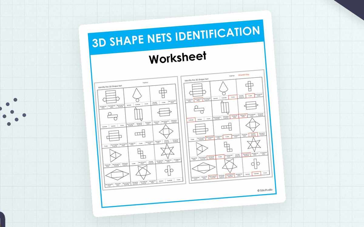 3D Shape Nets – Identification Practice Worksheet preview