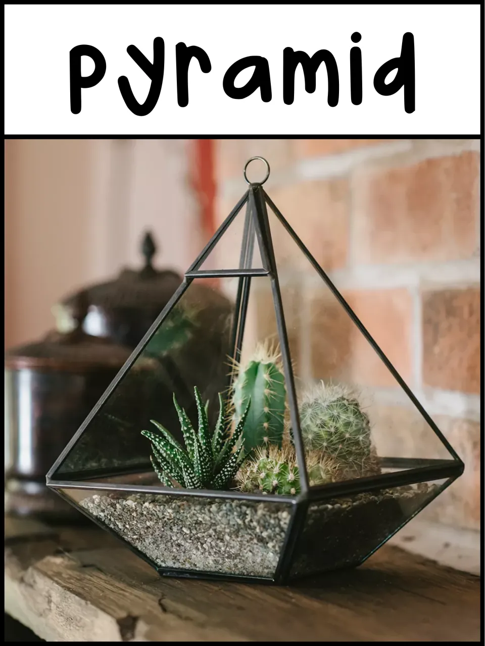 3D shape poster labeled 'pyramid' showing a glass terrarium with a pyramid-shaped top and plants inside