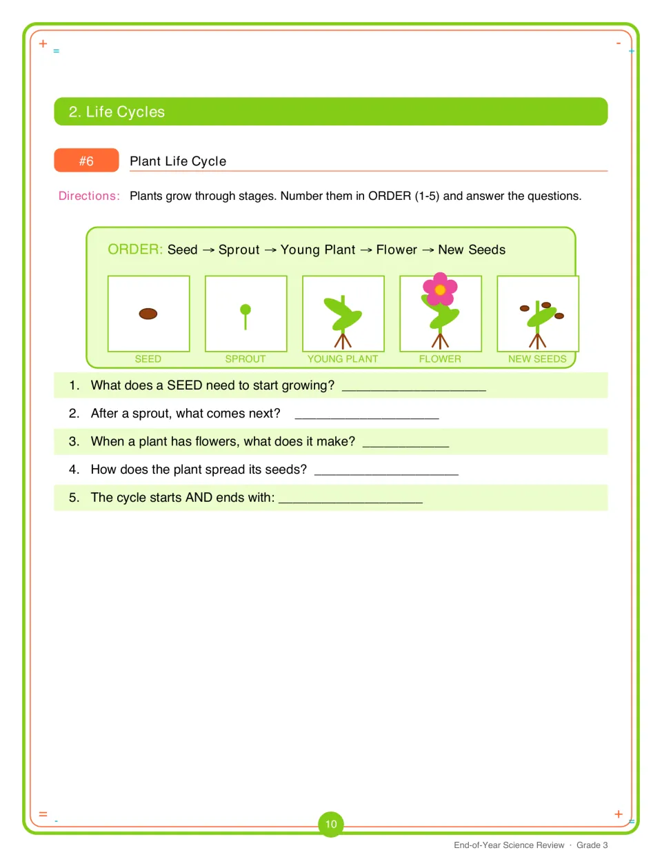 Activity 6 shows five plant life cycle stages from seed to new seeds, followed by five short-answer questions