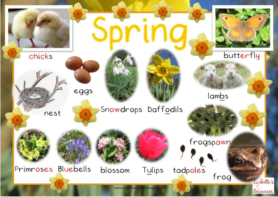 Spring word mat: 14 photos labeled chicks, lambs, daffodils, tadpoles, frog and more, with phonics sounds in red